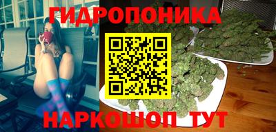 СК Конаково