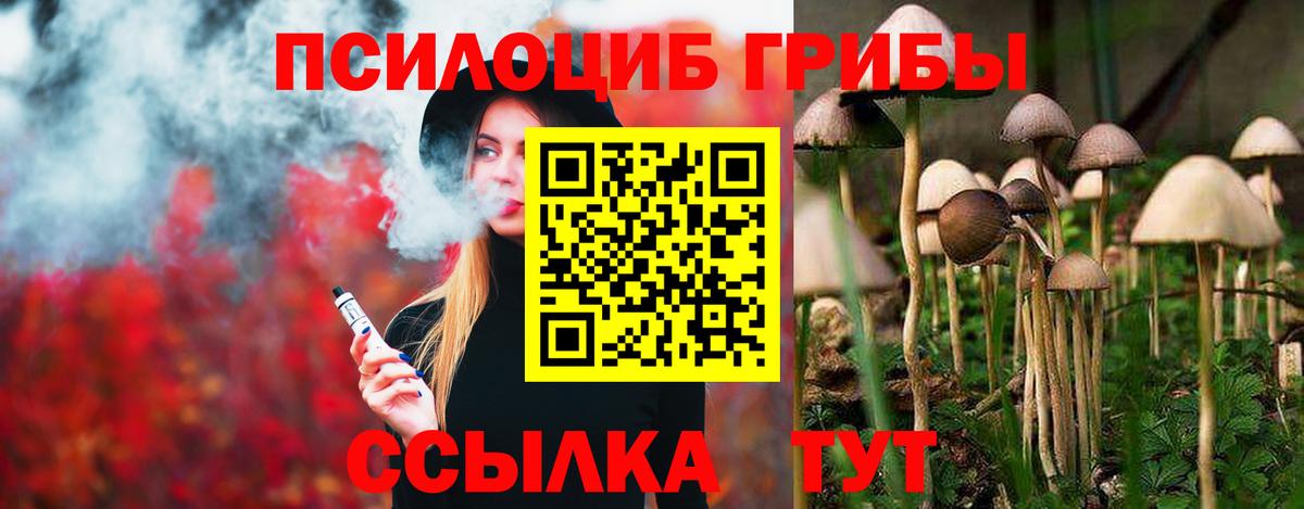 Псилоцибиновые грибы Psilocybe Аксай
