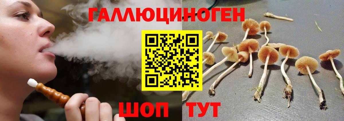 Галлюциногенные грибы прущие грибы  Вход с VPN  Аксай  Галлюциногенные грибы Cubensis 